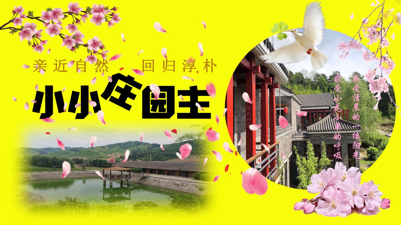 小小庄园主主题活动课