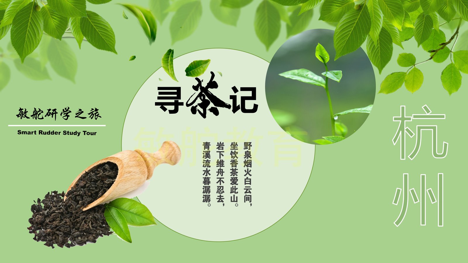 杭州《寻茶记》主题研学